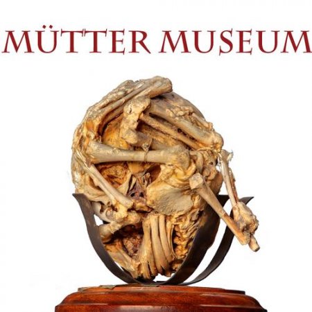 Музей истории медицины Мюттера