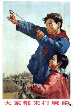 Китайская массовая истерия  под названием "Мао и воробьи"