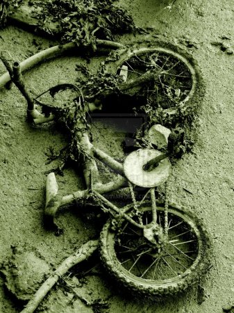 Изувеченное тело погибшего велосипедиста в подробностях