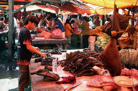 Мясной рынок Tomohon , Индонезия