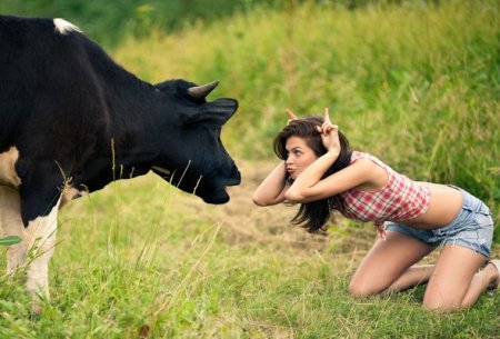 Девушка и корова