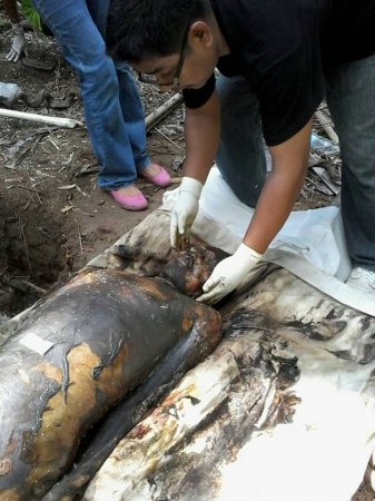 Полиция Таиланда спасла погребенного заживо в лагере работорговцев
