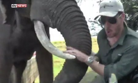 Агрессивный слон напал на туристов во время обеда в Зимбабве