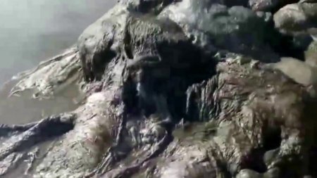 На пляж Мексики вынесло 4-метровое тело неизвестного морского монстра
