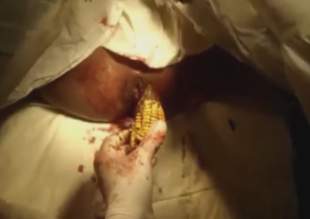 Извлечение кукурузного початка из задницы 