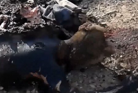 Мертвые солдаты в Тикрите(Ирак)