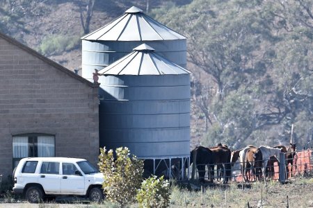 Фермер из Австралии заморил голодом 23 лошади