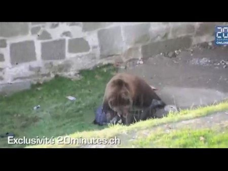 Медведь терзает мужика