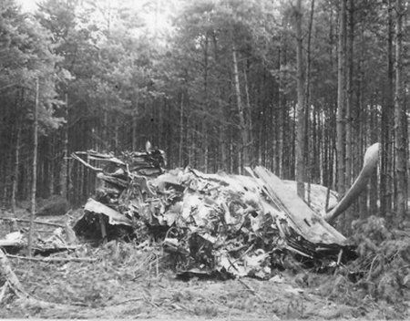 Как эскадрилья пикирующих бомбардировщиков врезалась в лес