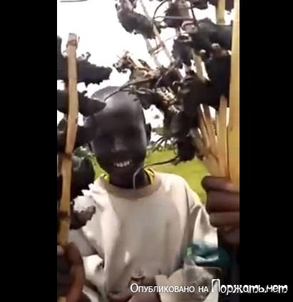 Африканский шашлык 