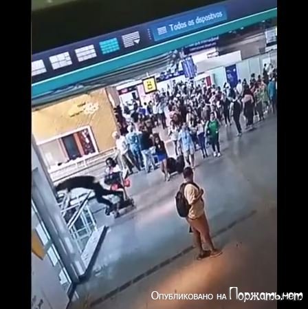 Самоубийство в бразильском аэропорту 