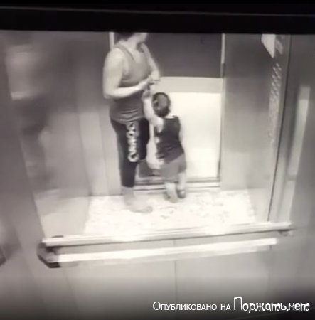 Нападение питбуля на мать с сыном в лифте 