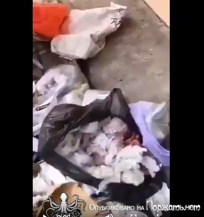 Ребёнок в мусорном мешке 