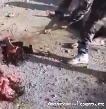Разрубание топором голов убитых солдат,Сирия 